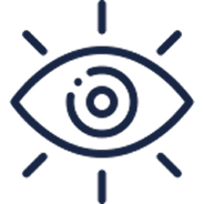 Vision icon